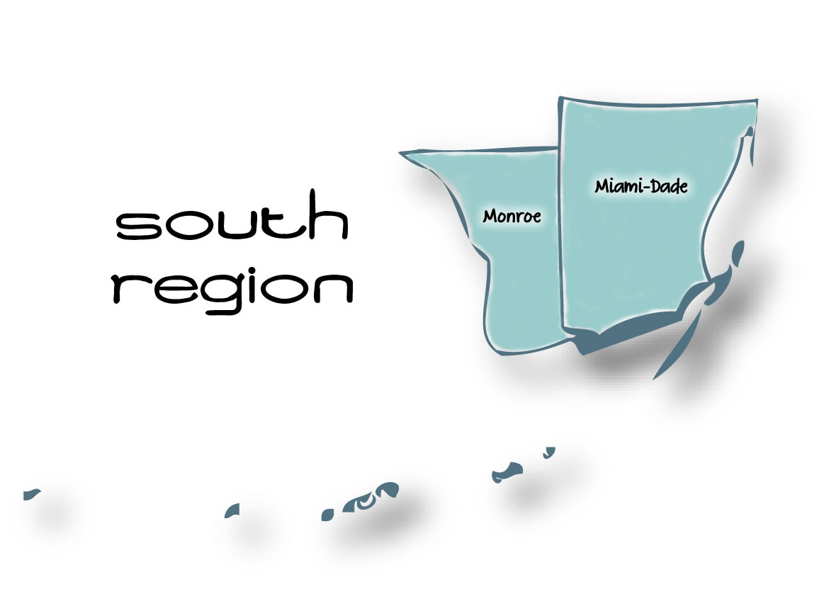 FASP's South Region
